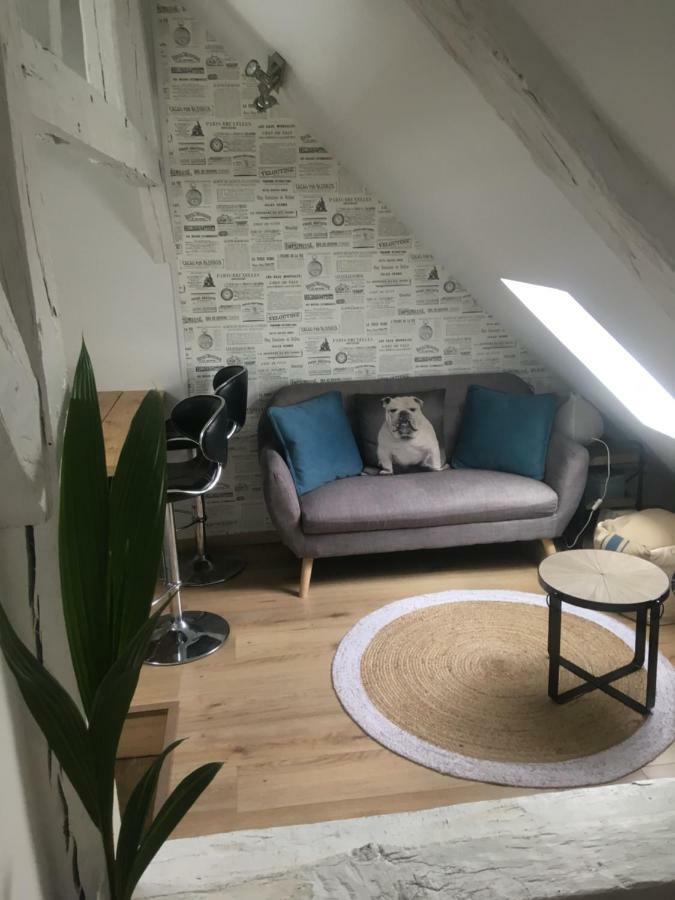 Appartements Atypiques Centre Historique Dijon Luaran gambar